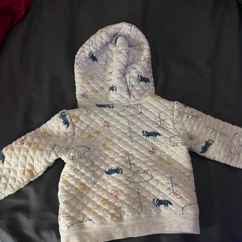Carter’s sweatsuit